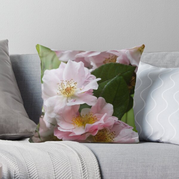 roses in the garden Throw Pillow