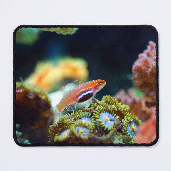 Item preview, Neon Pygmy Goby Living in Corals designed and sold by Luxxe87.