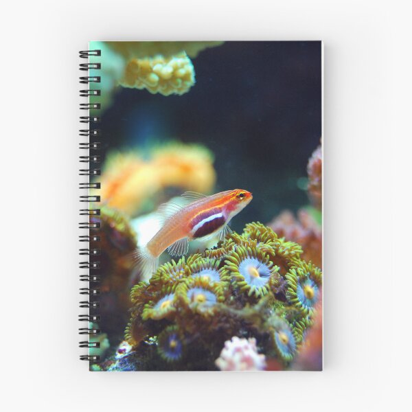 Item preview, Neon Pygmy Goby Living in Corals designed and sold by Luxxe87.