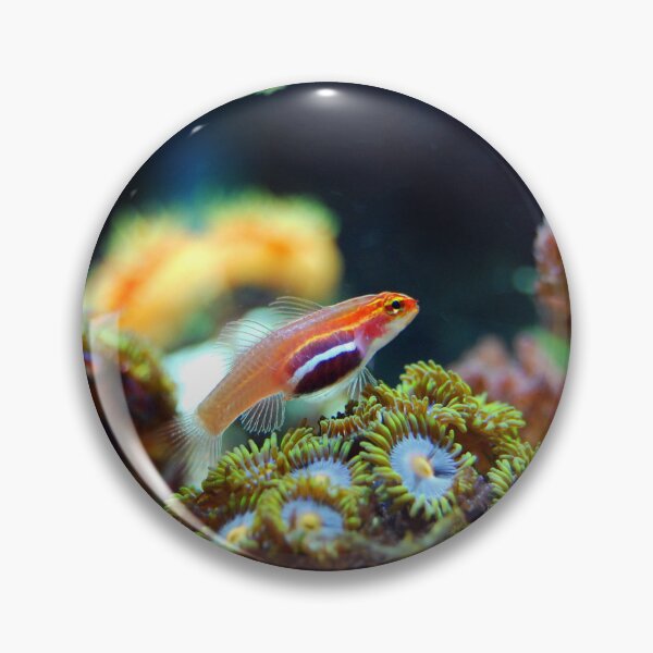 Item preview, Neon Pygmy Goby Living in Corals designed and sold by Luxxe87.