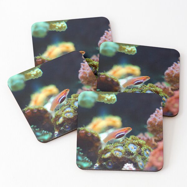 Item preview, Neon Pygmy Goby Living in Corals designed and sold by Luxxe87.