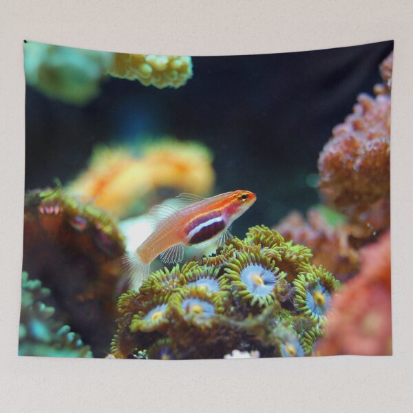 Item preview, Neon Pygmy Goby Living in Corals designed and sold by Luxxe87.
