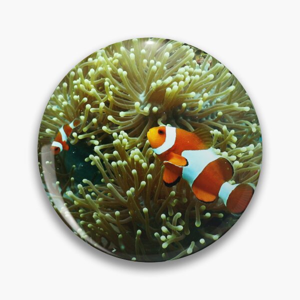 Item preview, Clown Fish with Baby Living in Corals designed and sold by Luxxe87.
