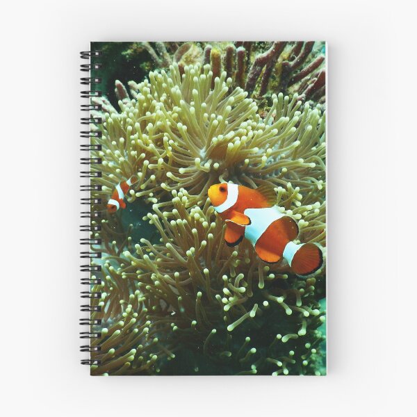 Item preview, Clown Fish with Baby Living in Corals designed and sold by Luxxe87.