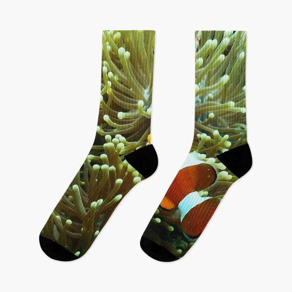 Item preview, Clown Fish with Baby Living in Corals designed and sold by Luxxe87.