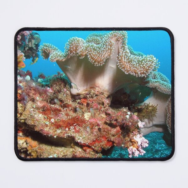 Item preview, Variety of Sea Anemone on Corals designed and sold by Luxxe87.