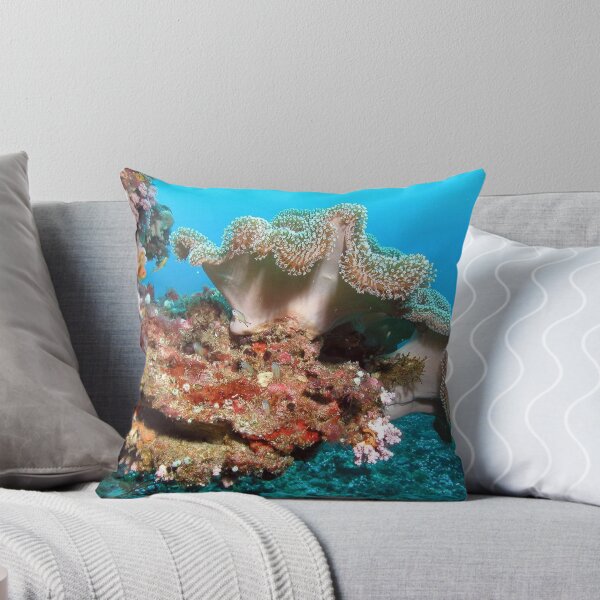Item preview, Variety of Sea Anemone on Corals designed and sold by Luxxe87.