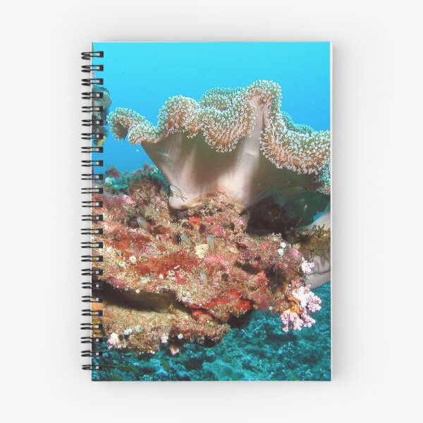 Item preview, Variety of Sea Anemone on Corals designed and sold by Luxxe87.