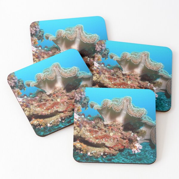 Item preview, Variety of Sea Anemone on Corals designed and sold by Luxxe87.