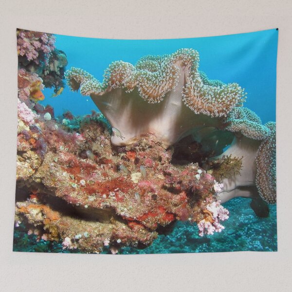 Item preview, Variety of Sea Anemone on Corals designed and sold by Luxxe87.