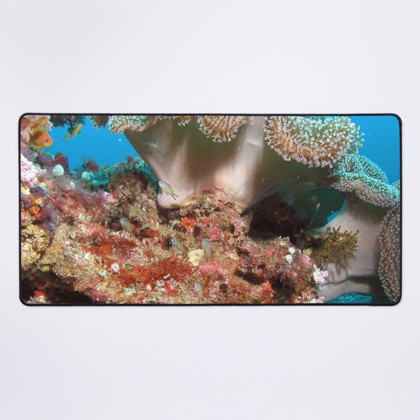 Item preview, Variety of Sea Anemone on Corals designed and sold by Luxxe87.