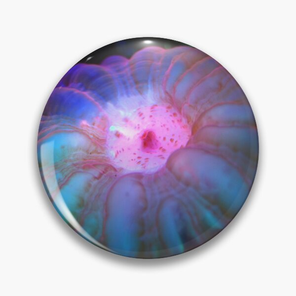 Item preview, Glowing Sea Anemone During Night on Corals designed and sold by Luxxe87.