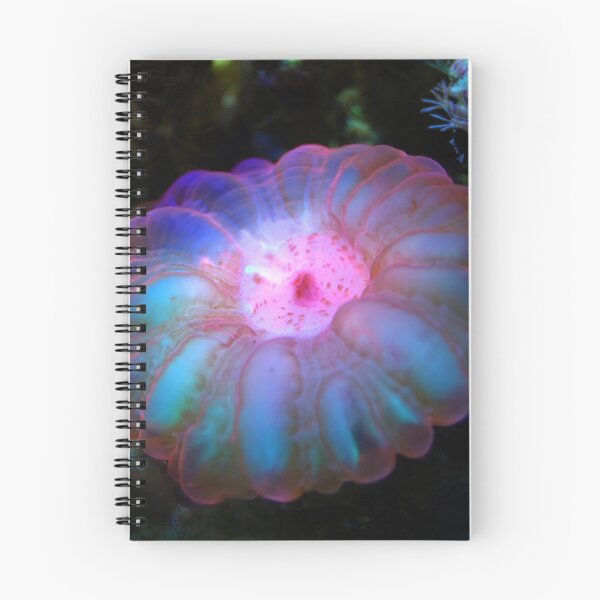 Item preview, Glowing Sea Anemone During Night on Corals designed and sold by Luxxe87.