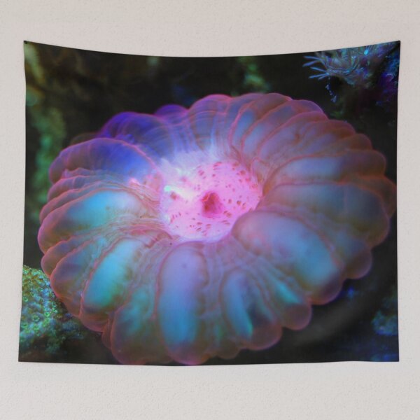 Item preview, Glowing Sea Anemone During Night on Corals designed and sold by Luxxe87.