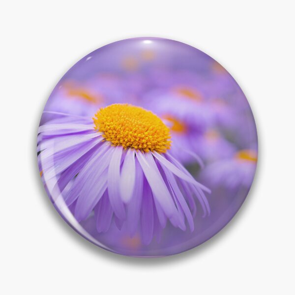 Item preview, Aster Flowers designed and sold by Alisonchambers2.