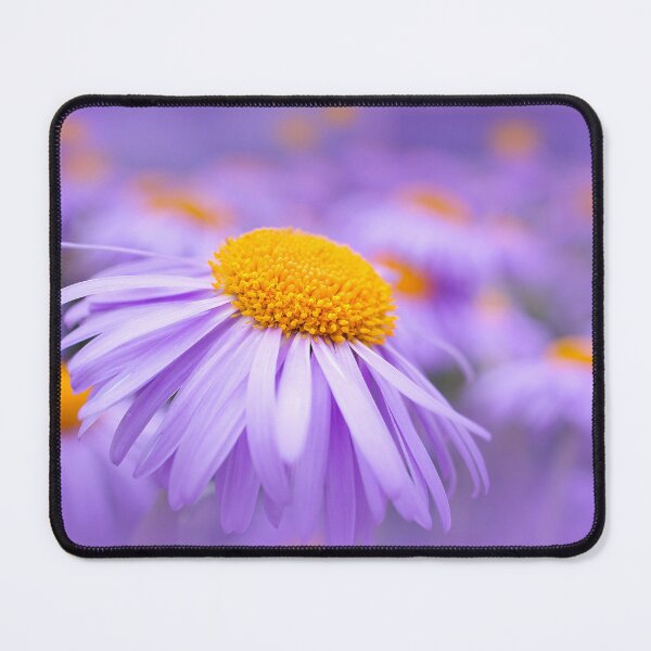 Item preview, Aster Flowers designed and sold by Alisonchambers2.