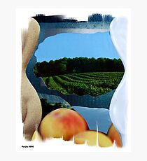 Shapes Photographic Print
