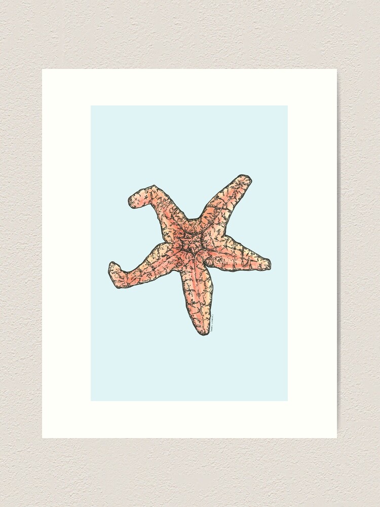 Starfish Texture Art