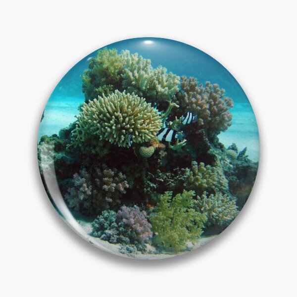 Item preview, Small Group of Dascyllus Living on Corals designed and sold by Luxxe87.