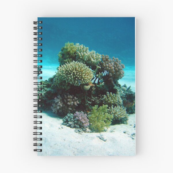 Item preview, Small Group of Dascyllus Living on Corals designed and sold by Luxxe87.
