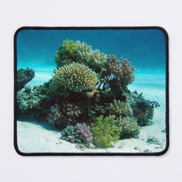 Item preview, Small Group of Dascyllus Living on Corals designed and sold by Luxxe87.