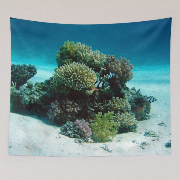Item preview, Small Group of Dascyllus Living on Corals designed and sold by Luxxe87.