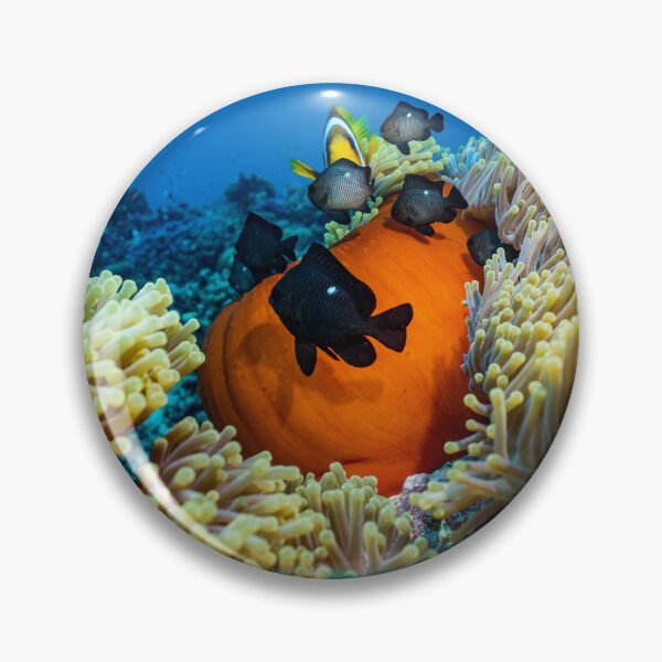 Item preview, Group of Dascyllus on Yellow Corals designed and sold by Luxxe87.