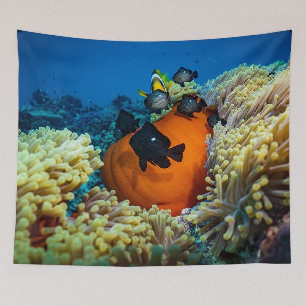 Item preview, Group of Dascyllus on Yellow Corals designed and sold by Luxxe87.
