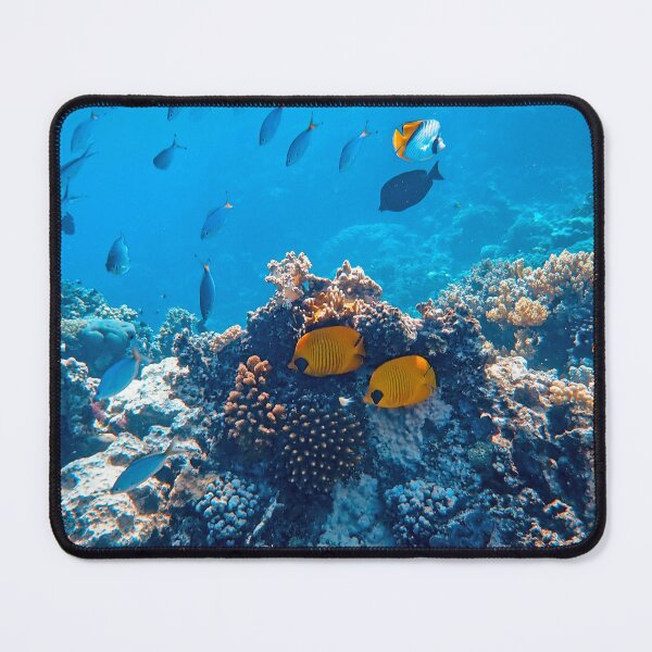 Item preview, Bluecheek Butterfly Fish Hiding in Coral Reefs designed and sold by Luxxe87.