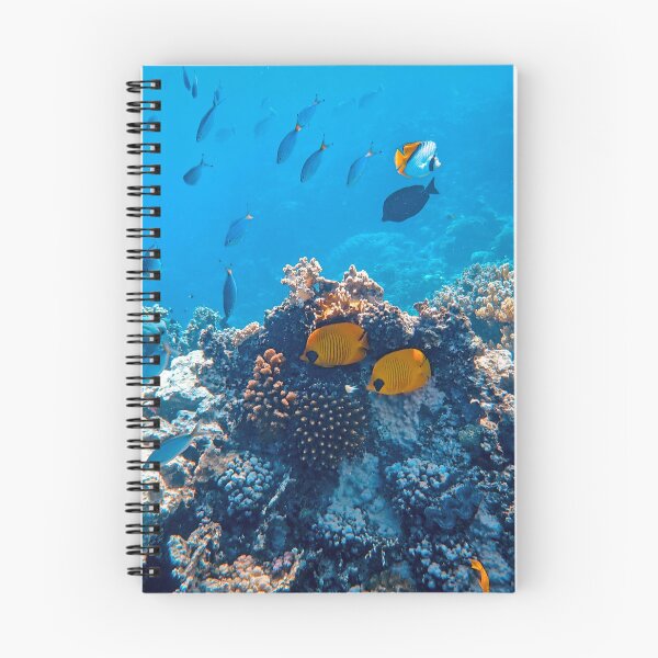 Item preview, Bluecheek Butterfly Fish Hiding in Coral Reefs designed and sold by Luxxe87.
