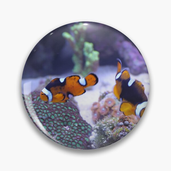 Item preview, Cute Clown Fish in Coral Reefs designed and sold by Luxxe87.