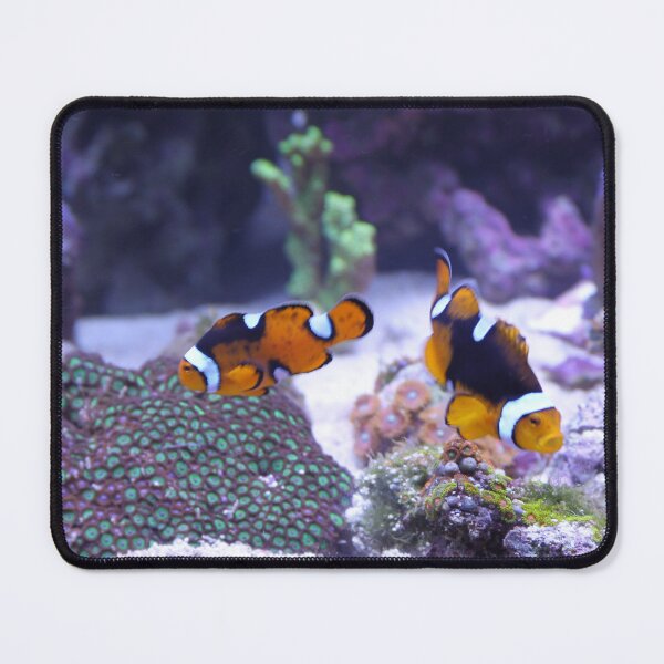Item preview, Cute Clown Fish in Coral Reefs designed and sold by Luxxe87.