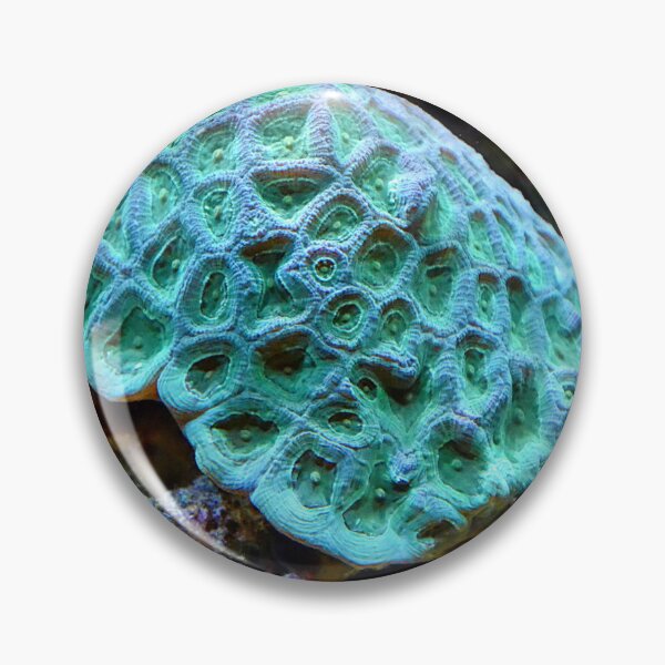 Item preview, Vivid Neon Green Sea Anemone on Coral Reefs designed and sold by Luxxe87.