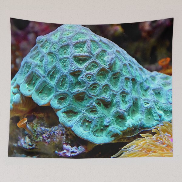 Item preview, Vivid Neon Green Sea Anemone on Coral Reefs designed and sold by Luxxe87.