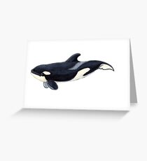 Baby orca Greeting Card