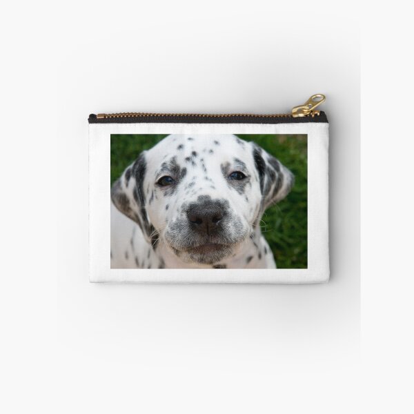 Item preview, Lexie Puppy designed and sold by Graeme  Hunt.