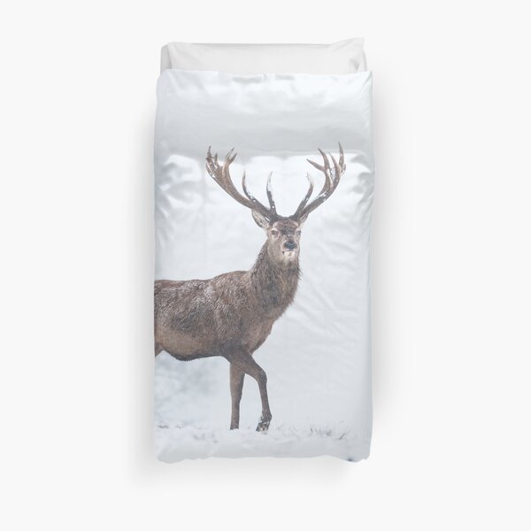 Red Deer stag in snow Duvet Cover