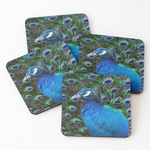 Item preview, Peacock and Feather designed and sold by Erika Kaisersot.