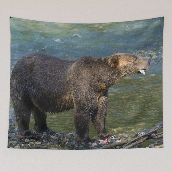 Item preview, Wild Bear Got His Salmon At Toba Inlet designed and sold by rawshutterbug.