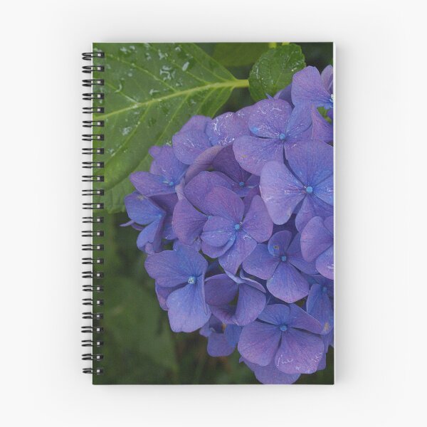 Item preview, Hydrangea designed and sold by Gilberte.