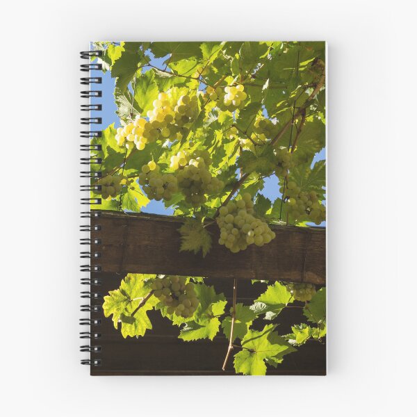 Item preview, Overhead Grape Harvest - Summertime Dreams of Fine Wine designed and sold by Georgia Mizuleva.