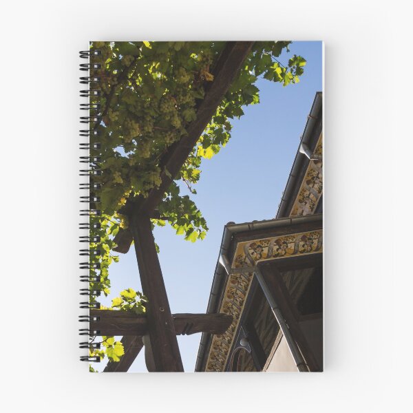 Item preview, Summer Courtyard - Decorated Eaves and Grape Trellis in the Sunshine designed and sold by Georgia Mizuleva.