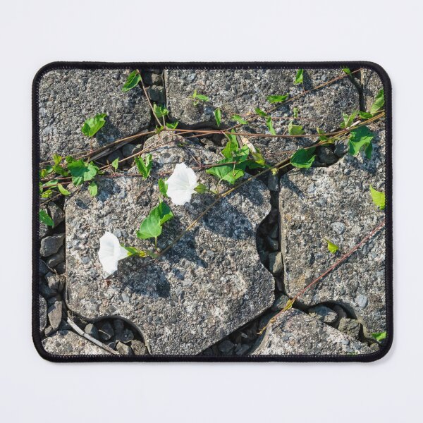 Item preview, Between the stones 2 designed and sold by Arc1.