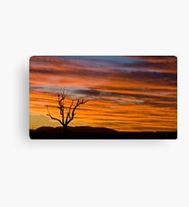 Sunset Silhouette Canvas Print
