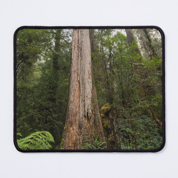 Item preview, Reaching Skyward designed and sold by Linda Lees.
