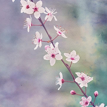 Artwork thumbnail, Spring Splendor by Linda Lees