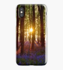 Bluebell Wood At Sunset (Centre Sun) iPhone Case