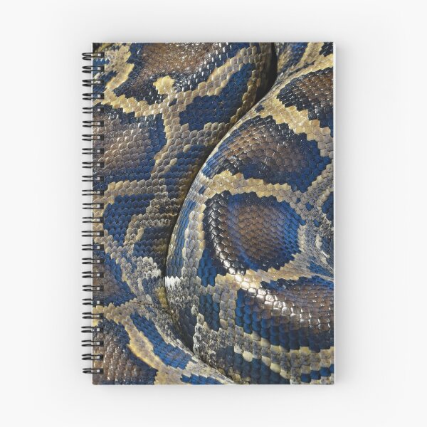 Item preview, Colorful Pattern of a Snakeskin designed and sold by fredgarden8.