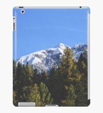 MINDS IN NATURE|MODERN PRINTING|1 Pc #27983673 iPad Case/Skin