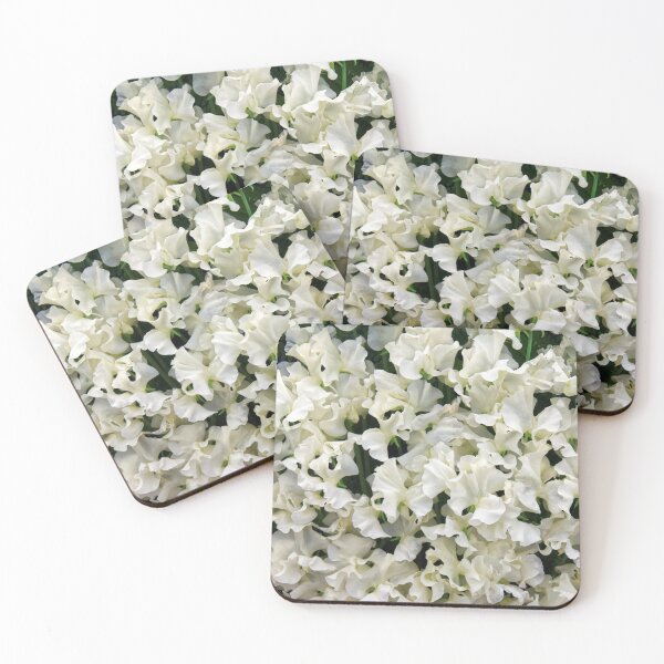 Item preview, White Sweet Pea  designed and sold by Stephen Frost.